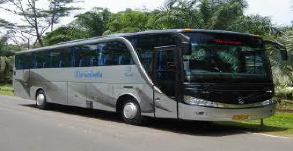 Beritabali.com